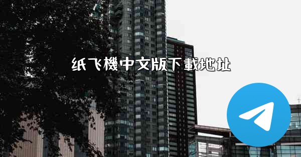 纸飞機中文版下載地址