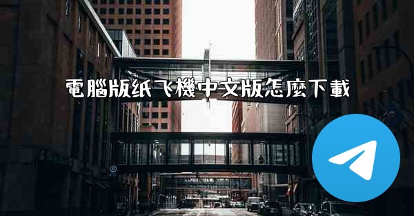 電腦版纸飞機中文版怎麼下載