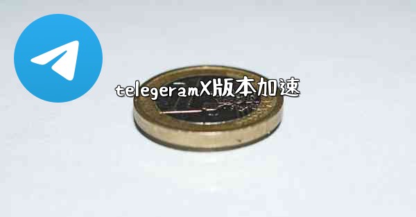 <b>telegeramX版本加速</b>