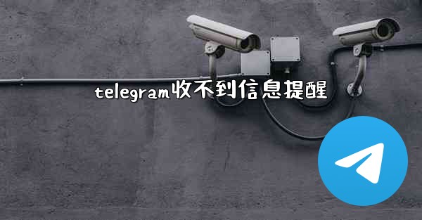 <b>telegram收不到信息提醒</b>