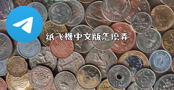 <b>纸飞機中文版怎麼弄</b>