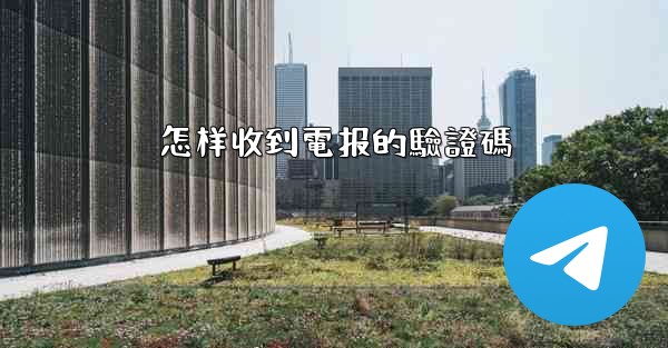 <b>怎样收到電报的驗證碼</b>
