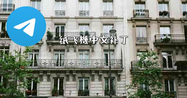 纸飞機中文补丁