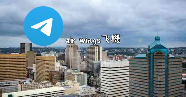 air wings飞機