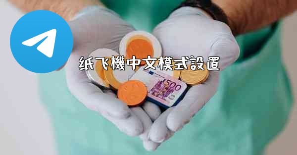 <b>纸飞機中文模式設置</b>