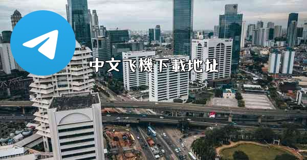 中文飞機下載地址