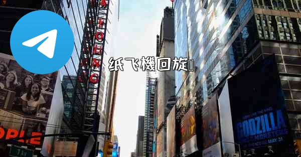 纸飞機回旋镖