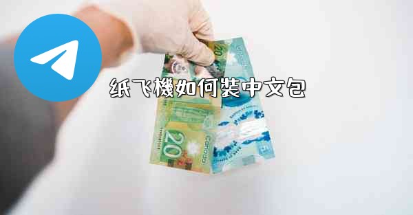 纸飞機如何裝中文包