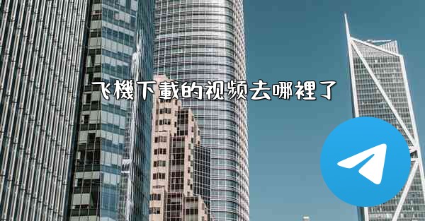 飞機下載的视频去哪裡了