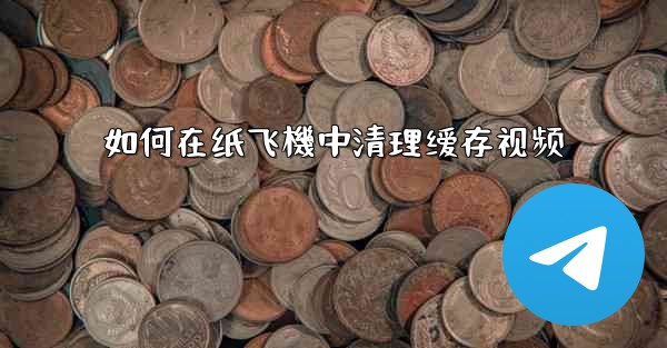 如何在纸飞機中清理缓存视频