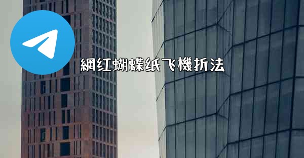 網红蝴蝶纸飞機折法