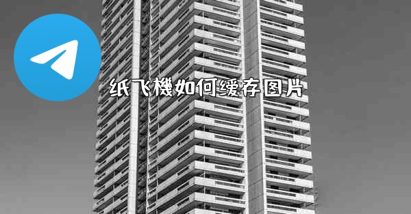 纸飞機如何缓存图片