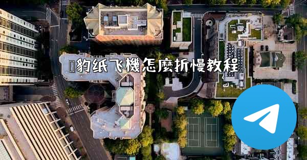 猎豹纸飞機怎麼折慢教程