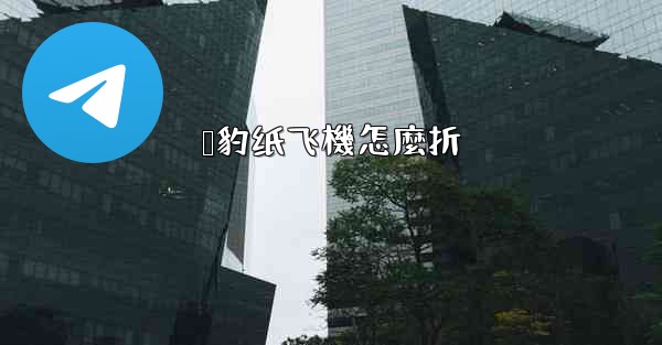 猎豹纸飞機怎麼折