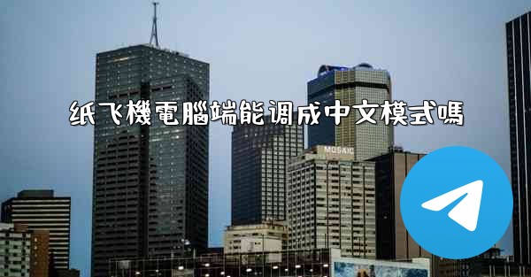 纸飞機電腦端能调成中文模式嗎
