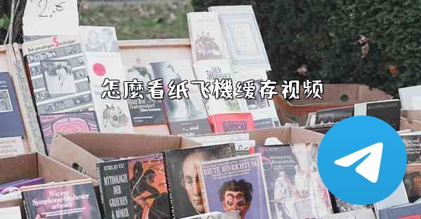 <b>怎麼看纸飞機缓存视频</b>