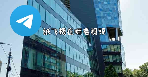 纸飞機在哪看视频