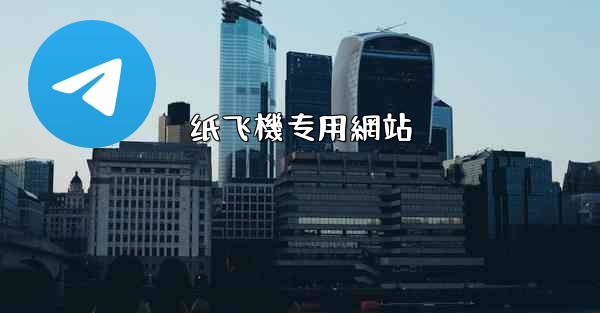 纸飞機专用網站