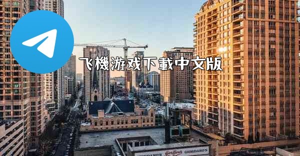 飞機游戏下載中文版