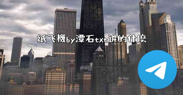 纸飞機by潭石txt讲的什麼