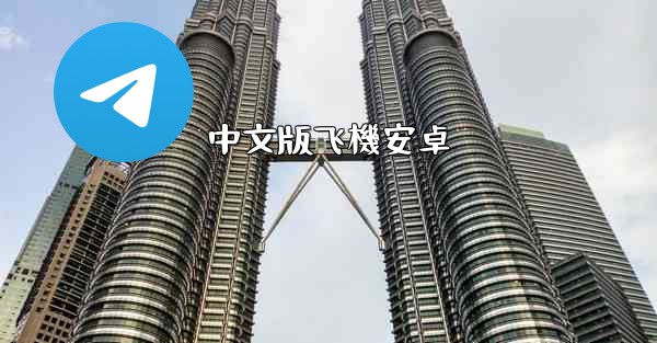 中文版飞機安卓