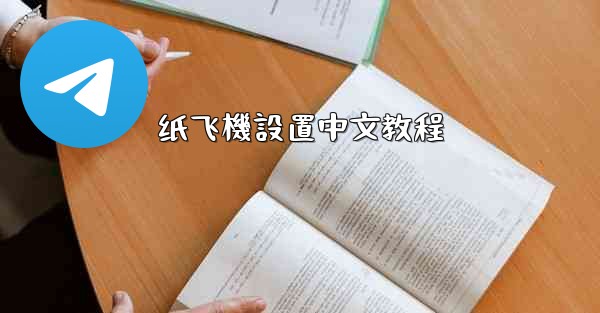 纸飞機設置中文教程