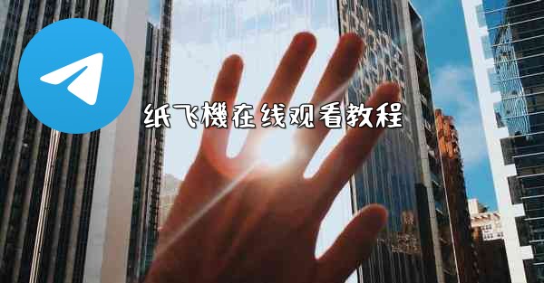 <b>纸飞機在线观看教程</b>