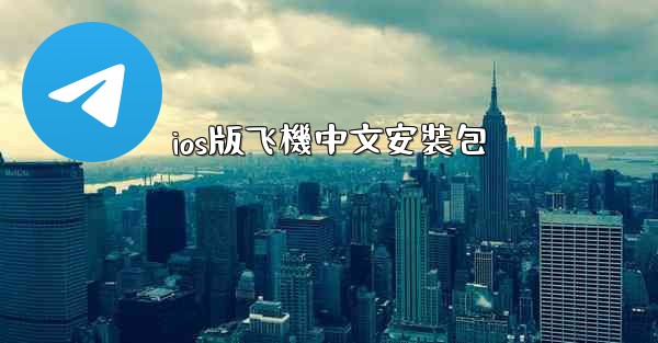 ios版飞機中文安裝包