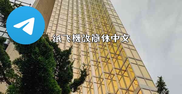 纸飞機改簡体中文