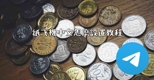 纸飞機中文怎麼設置教程