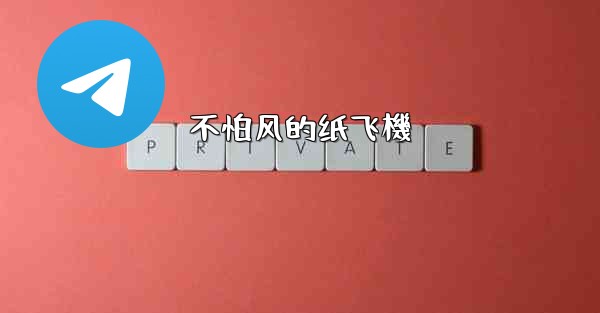 不怕风的纸飞機