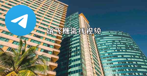 纸飞機离线视频