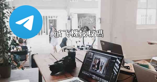 纸飞機授权碼