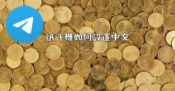纸飞機如何設置中文