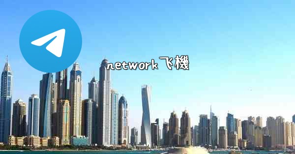 network飞機