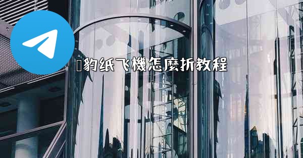 猎豹纸飞機怎麼折教程