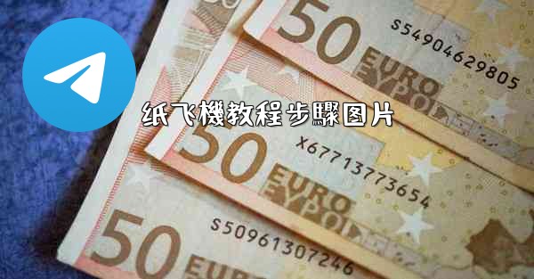 <b>纸飞機教程步驟图片</b>