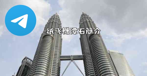 纸飞機潭石簡介