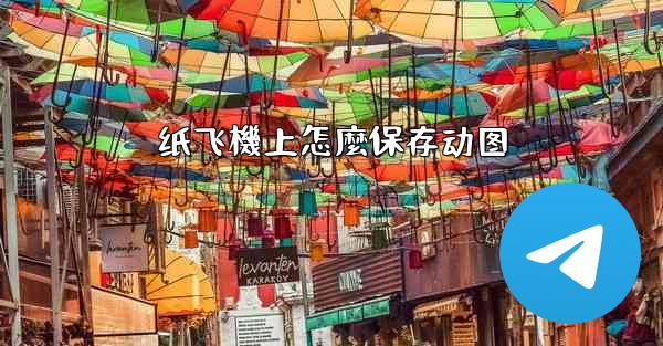 纸飞機上怎麼保存动图