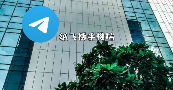 纸飞機手機端