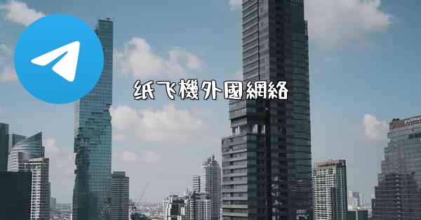 纸飞機外國網絡