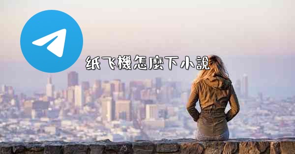 纸飞機怎麼下小說