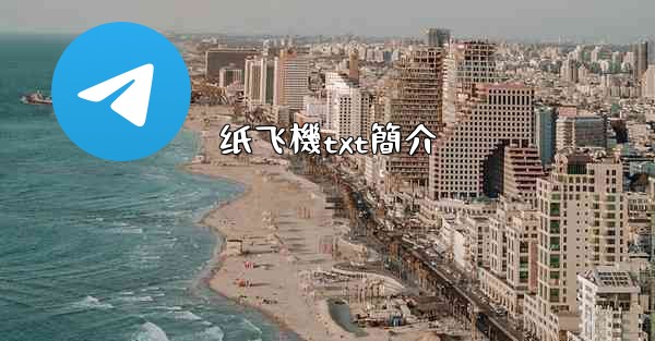 <b>纸飞機txt簡介</b>