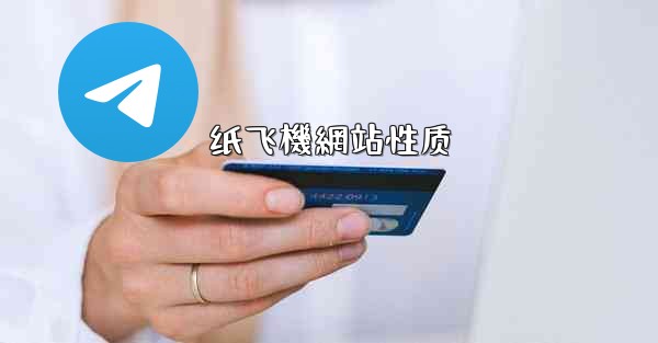 纸飞機網站性质