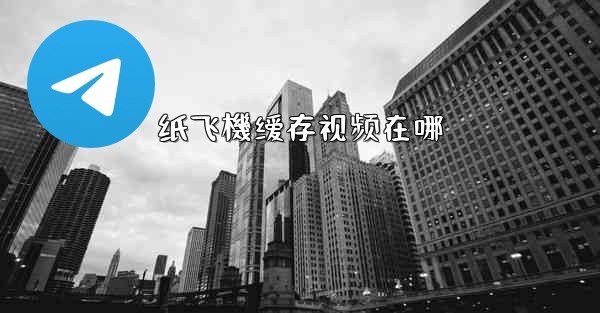 纸飞機缓存视频在哪