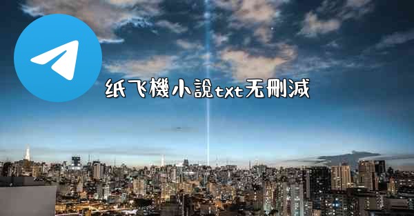 纸飞機小說txt无刪減