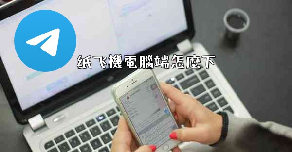 <b>纸飞機電腦端怎麼下</b>