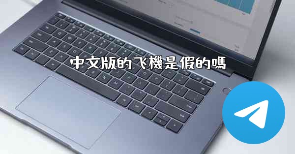 中文版的飞機是假的嗎