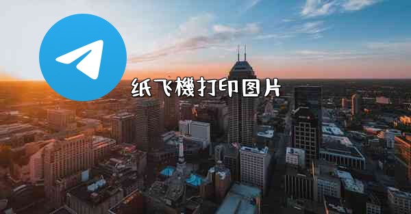 纸飞機打印图片