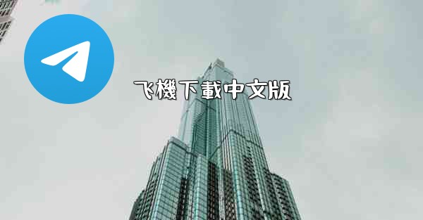 飞機下載中文版